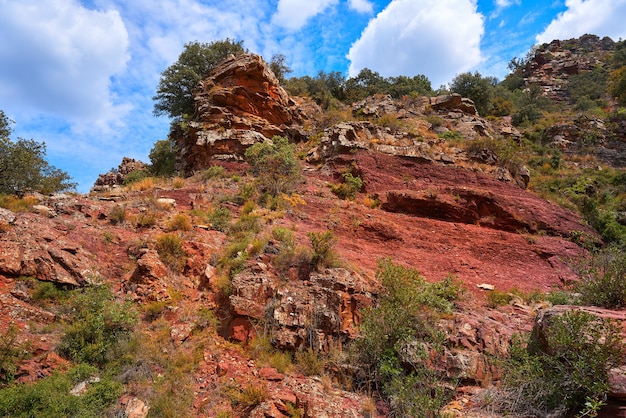 Espadan forest in castellon spain