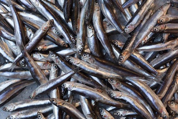 Espadín en un mercado de pescado