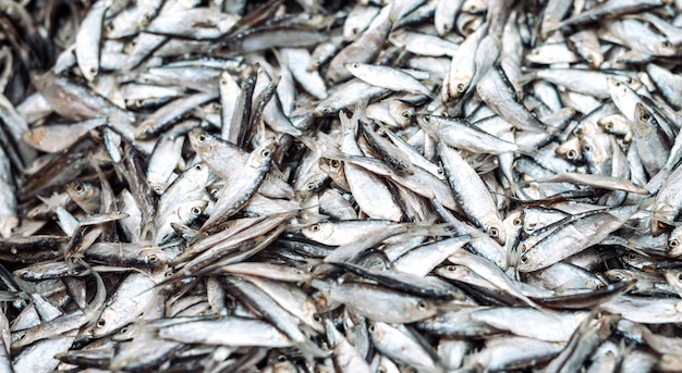 Espadines de pescado en el mercado de pescado. Pescado fresco orgánico.