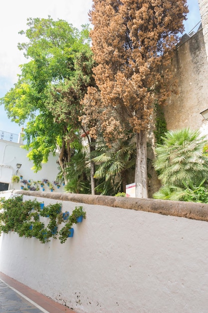 español, arquitectura y calles de flores blancas en marbella andalucia españa