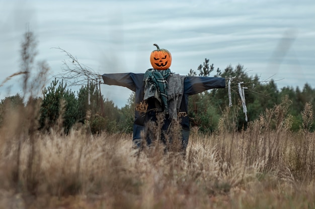 Un espantapájaros aterrador con una cabeza de calabaza de halloween en un campo en tiempo nublado.