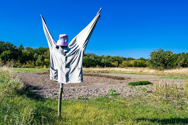 El espantapájaros aterrador en el jardín desalienta a los pájaros hambrientos