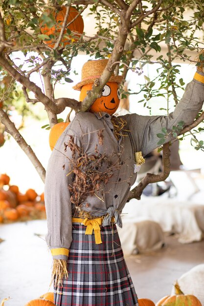 Foto espantapájaros cerca de la decoración de árboles y calabazas para las vacaciones de halloween en el jardín