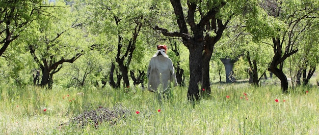 Espantapájaros colgando de árboles frutales