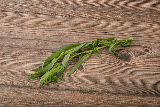 Foto especia de hierba de estragón verde para cocinar