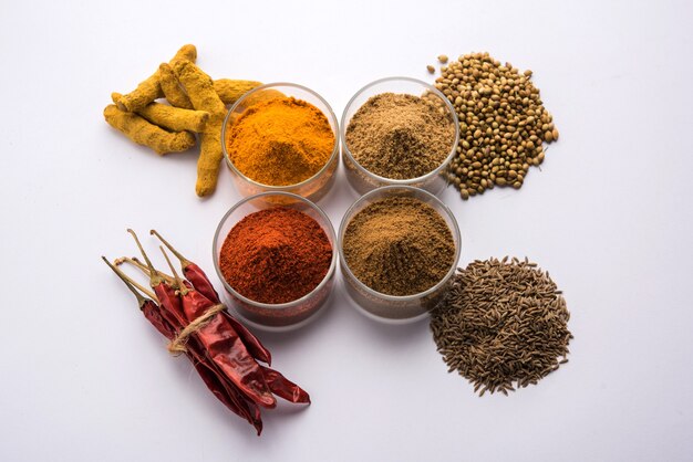 Especiarias coloridas indianas. Foto de grupo de quatro especiarias indianas básicas, como pimenta vermelha crua, açafrão, coentro e cominho em pó. foco seletivo