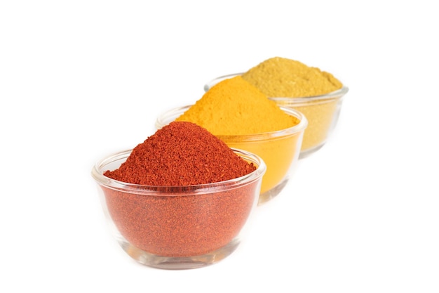 Las especias de colores indios también se conocen como polvo de chile rojo, polvo de cúrcuma, polvo de cilantro, mirchi, mirch, haldi, polvo de Dhaniya aislado sobre fondo blanco.