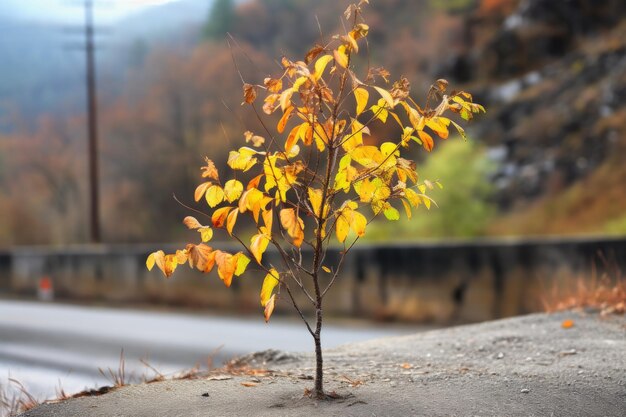 Especies de árboles resistentes con hojas frescas después del incendio creadas con AI generativa