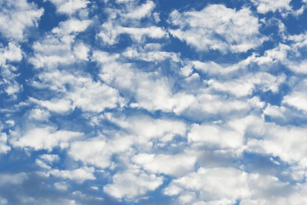 Espectacular cielo azul con nubes blancas