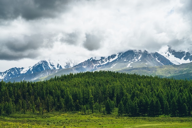 Espectacular paisaje montañoso con bosque verde vivo en la colina y cielo gris plomo sobre montañas nevadas en un clima cambiante. Pintoresco paisaje alpino con glaciar en nubes bajas grises y luz solar en el bosque.