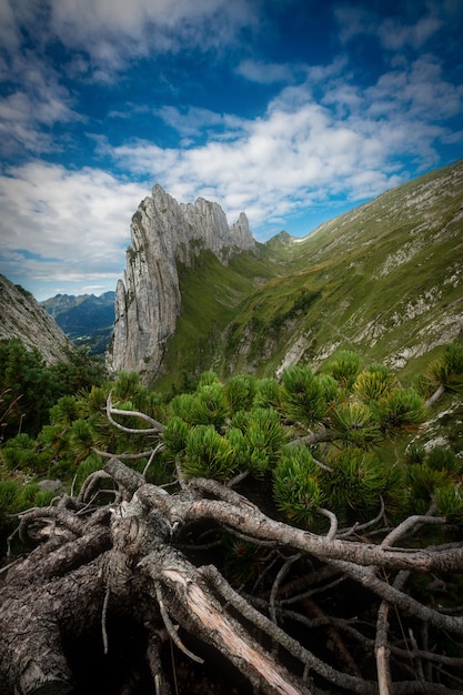 Espectaculares formaciones montañosas de suiza