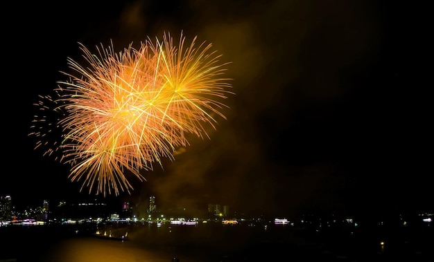 Espectaculares fuegos artificiales explotan en el cielo nocturno sobre la bahía