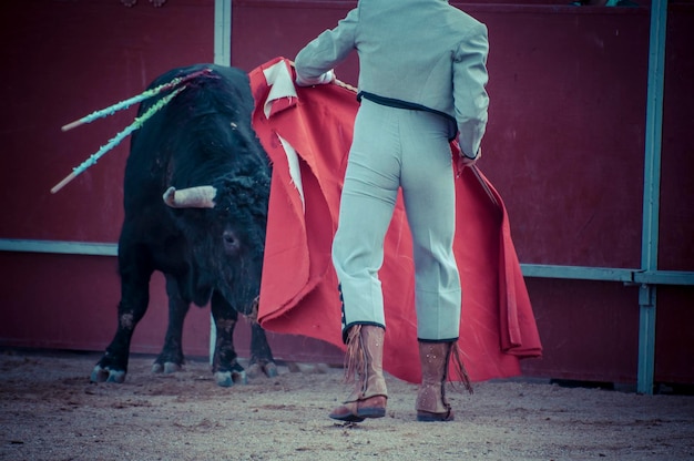 espectáculo de corridas de toros, donde un toro peleando contra un torero tradición española