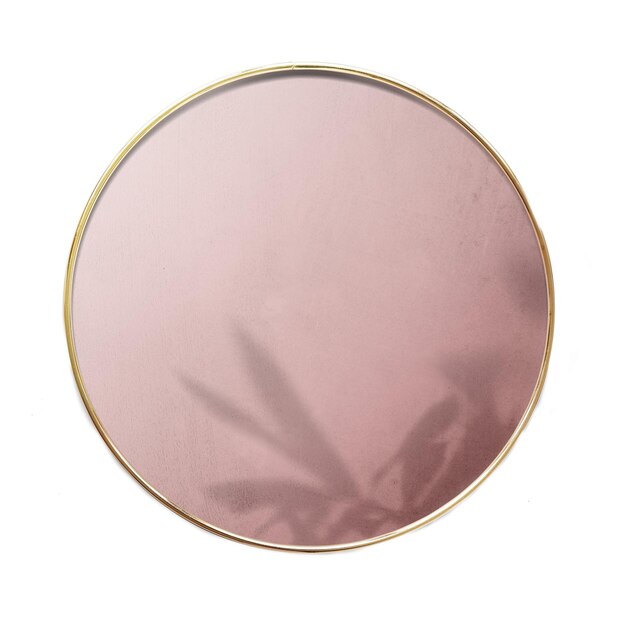 Espejo enmarcado en oro con sombra de hoja transparente png