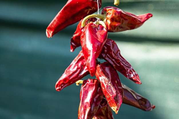 Espelette pimenta vegetal seco tempero frança comida fresca refeição saudável comida dieta lanche em cima da mesa