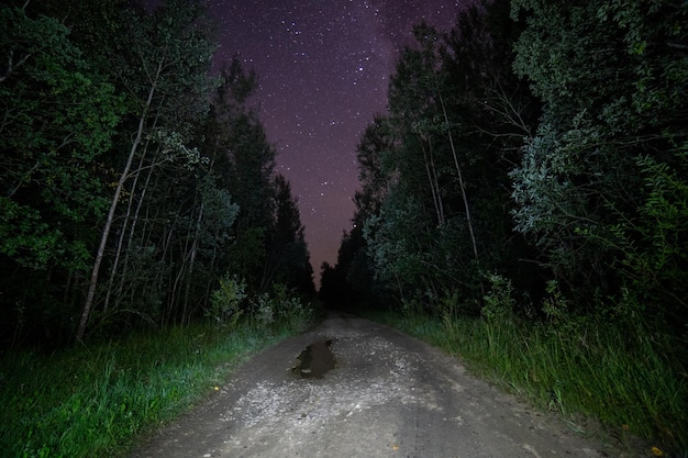 Espeluznante noche negra en el camino de tierra del bosque de verano y el cielo estrellado