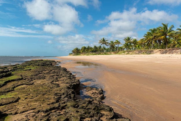 Espera playa Itacimirim Bahia Brasil.