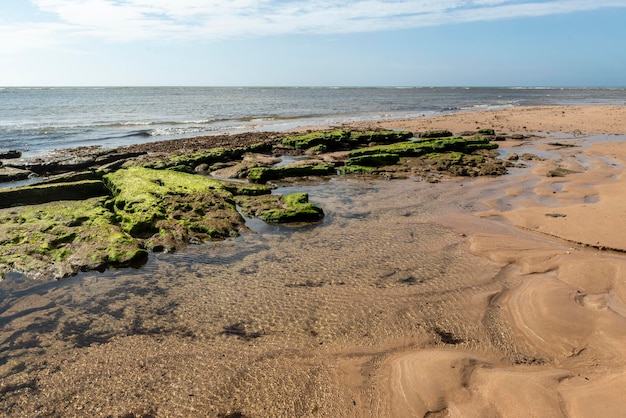 Espera Strand Itacimirim Bahia Brasilien.