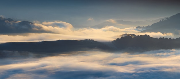 Foto espesa niebla en las montañas de los cárpatos