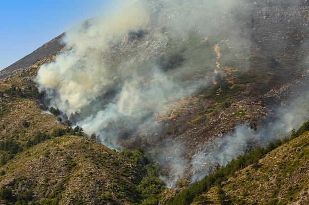 El espeso humo blanco de un incendio forestal en las montañas de Albania