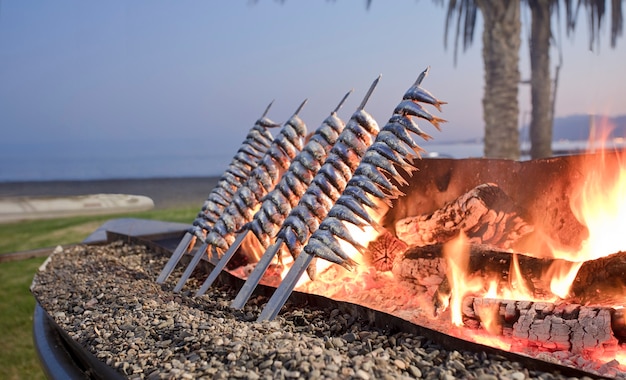 Espessura de sardinha com fogo ao pôr do sol