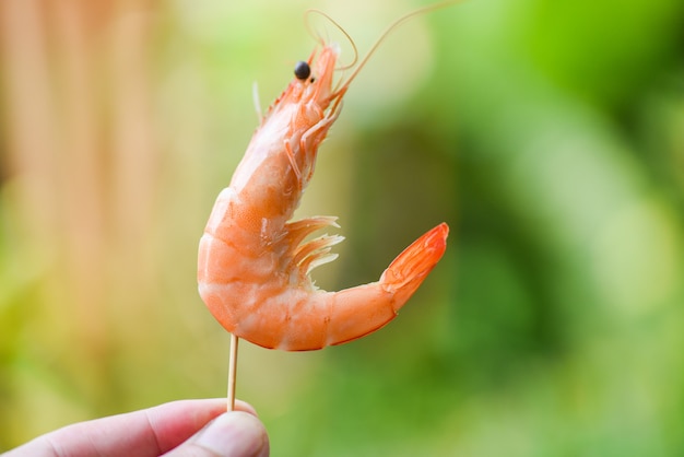 Espetos de camarão na mão e parede da natureza - frutos do mar camarão camarão