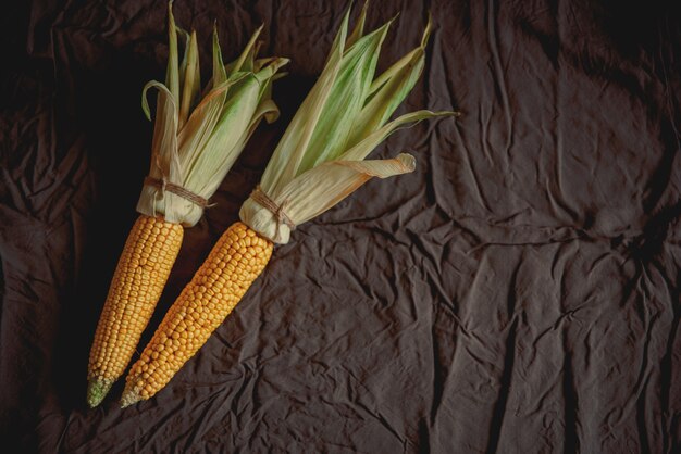 Espiga de maíz sobre fondo de lino marrón, vista superior de otoño, cierre, endecha plana, espacio de copia.