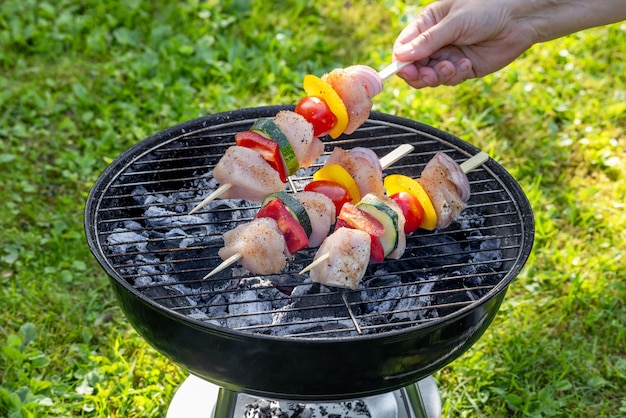 espigas de carne de frango e de vegetais