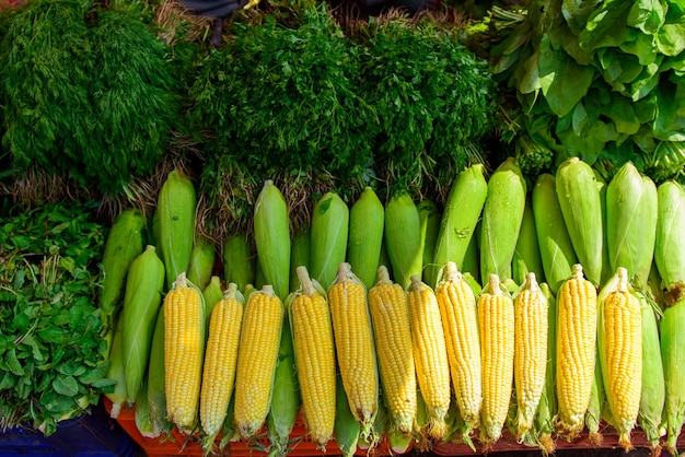 Espigas de milho e ervas em um mercado de agricultores