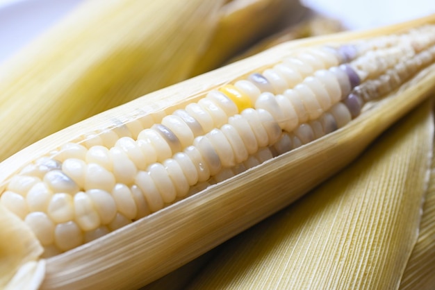 Espigas de milho maduras cozidas no vapor ou cozidas para comida vegana, jantar ou lanche, milhos cerosos ou fundo cozido de milho doce