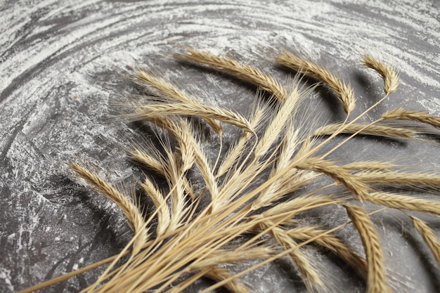 Espigas de trigo e farinha espalhada em uma mesa cinza