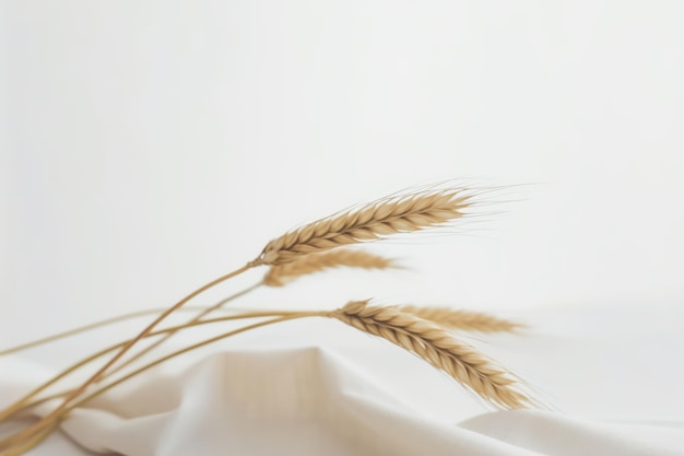 Espigas de trigo em uma cesta branca
