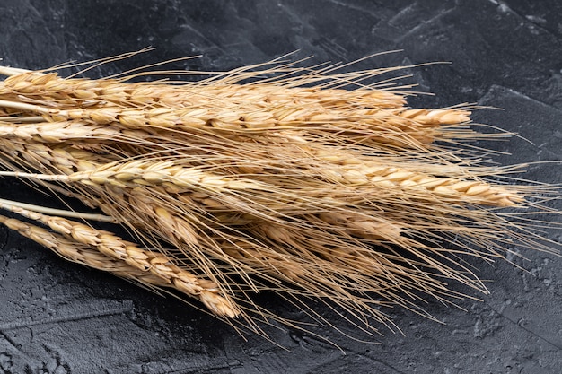 Espigas secas de trigo