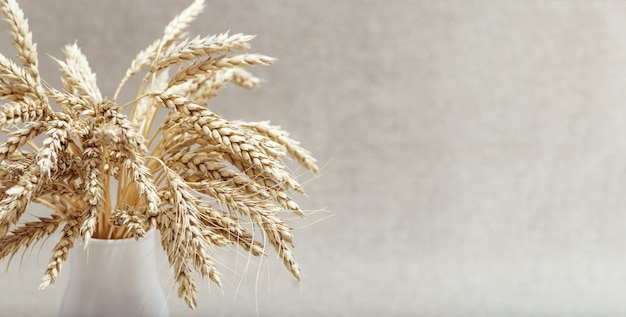 Espigas de trigo de cerca en pequeño florero blanco. Concepto de tiempo de cosecha. Cultivo de cereales. Imagen monocromática de naturaleza muerta.