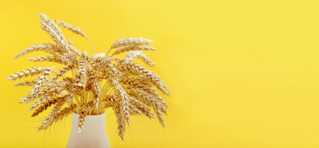 Espigas de trigo en un jarrón sobre fondo amarillo