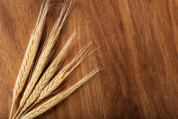 Foto espigas de trigo sobre fondo de madera