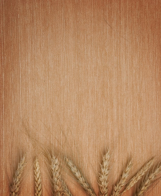 Foto espigas de trigo sobre un fondo textil maqueta de espacio vacío