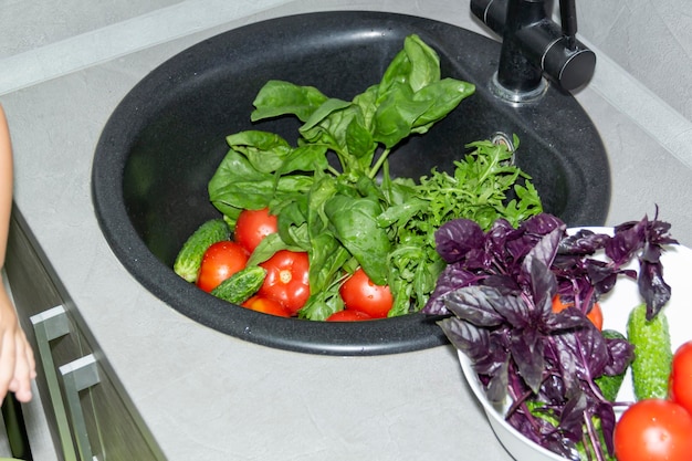 Espinacas, rúcula, pepinos, tomates, albahaca recolectada en su casa de campo, se lavan en un fregadero negro para cocinar platos deliciosos y fragantes.