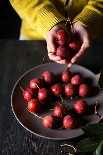 Espino de frutas en manos