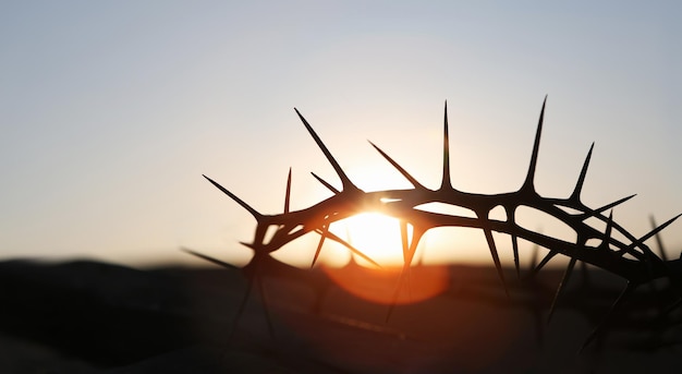 Una espinosa corona de espinas se recorta contra una puesta de sol.