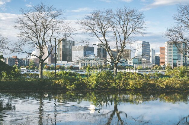 Foto esplanada del río charles en boston con el reflejo de los árboles en el agua