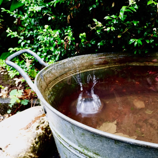 Foto esplanadeira de água num recipiente metálico no quintal