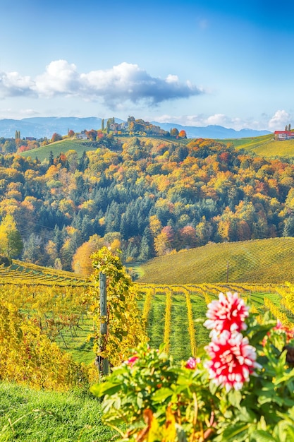 Esplêndida paisagem de vinhedos no sul da Estíria, perto de Gamlitz