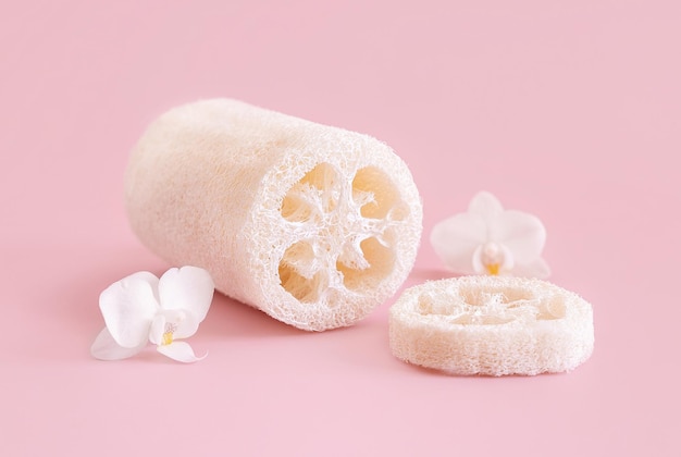 Esponja Loofah perto de flores de orquídeas brancas em rosa claro perto do produto Skincare