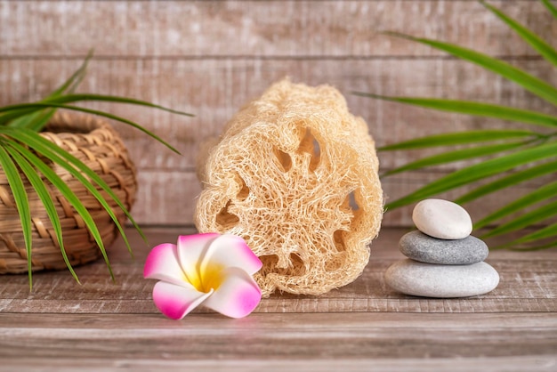 Foto esponja loofah vegetal natural para baño y ducha cuidado de la piel y el cuerpo fondo beige