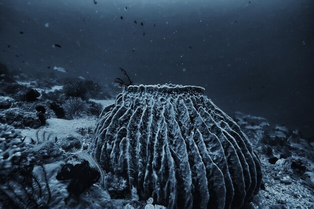 esponja submarina vida marina / arrecife de coral escena submarina paisaje oceánico abstracto con esponja