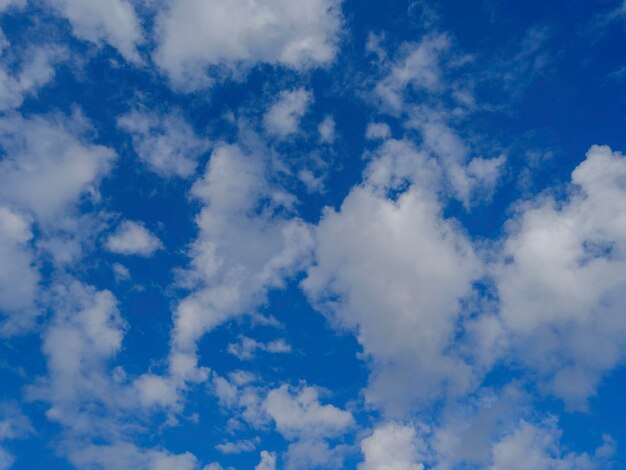 Esponjosas nubes en el cielo