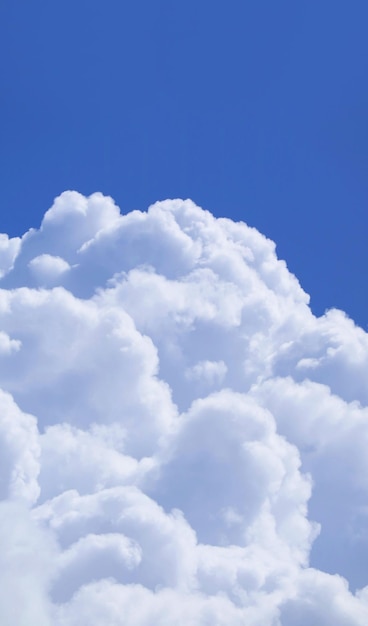 Esponjosas nubes de cúmulos blancas flotando en un cielo azul vivo y soleado