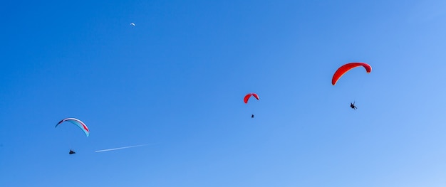 esportes parapente em um paraquedas sobre o campo