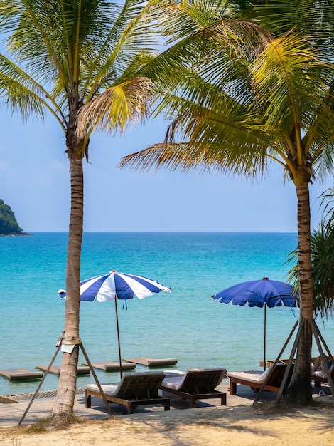 Espreguiçadeiras com vista para o mar com decoração de almofadas de cama com guarda-sóis de praia listrados azuis e palmeiras no oceano azul do mar e fundo do céu de verão vertical Fundo de férias de viagem de férias